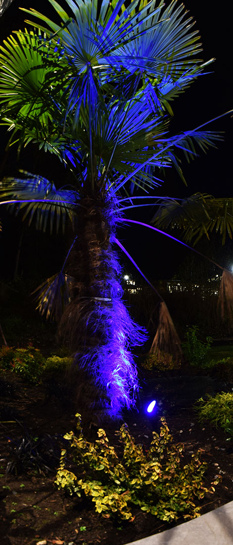 Landscape Lighting Installation and Design in Surrey, Langley, White Rock and Vancouver area