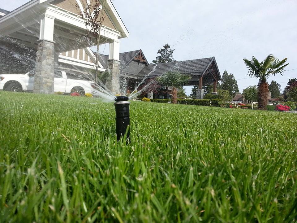 The Sprinkler Guys Landscape Irrigation and InGround Lawn Sprinkler